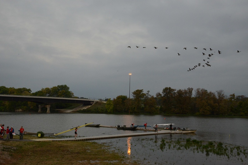 Geese Formation over dock.JPG